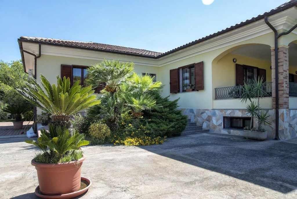 Alghero Villa Mistral Per 7 Persone Terrazza Bbq Ac Wifi Zewnętrze zdjęcie